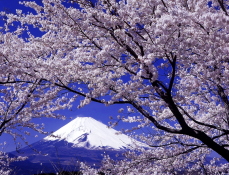 Mount Fuji